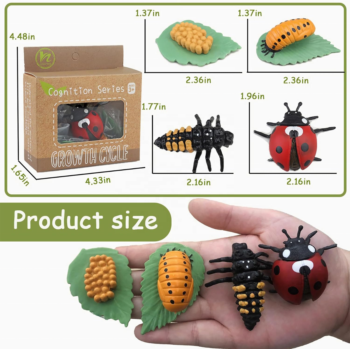 Montessori Animal Life Cycle Toys – Educational Figurines for Preschool Kids & Toddlers
