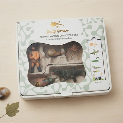Montessori Animal Life Cycle Toys – Educational Figurines for Preschool Kids & Toddlers
