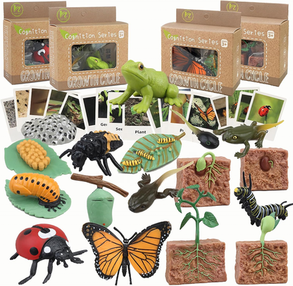 Montessori Animal Life Cycle Toys – Educational Figurines for Preschool Kids & Toddlers