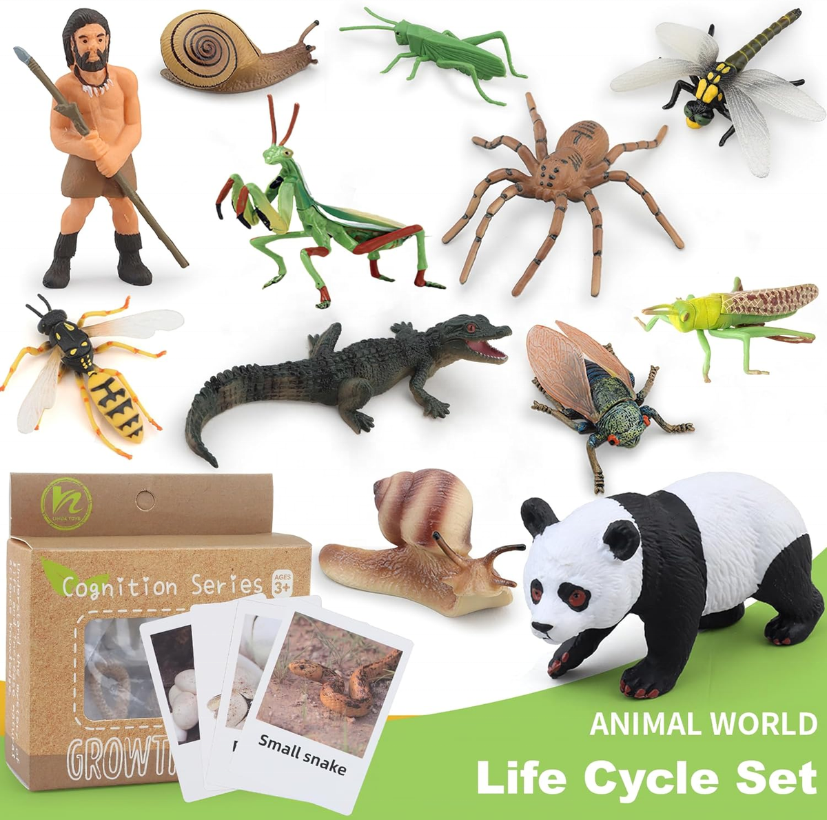 Montessori Animal Life Cycle Toys – Educational Figurines for Preschool Kids & Toddlers